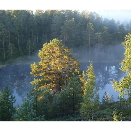 Stress-Free Stay Åmli